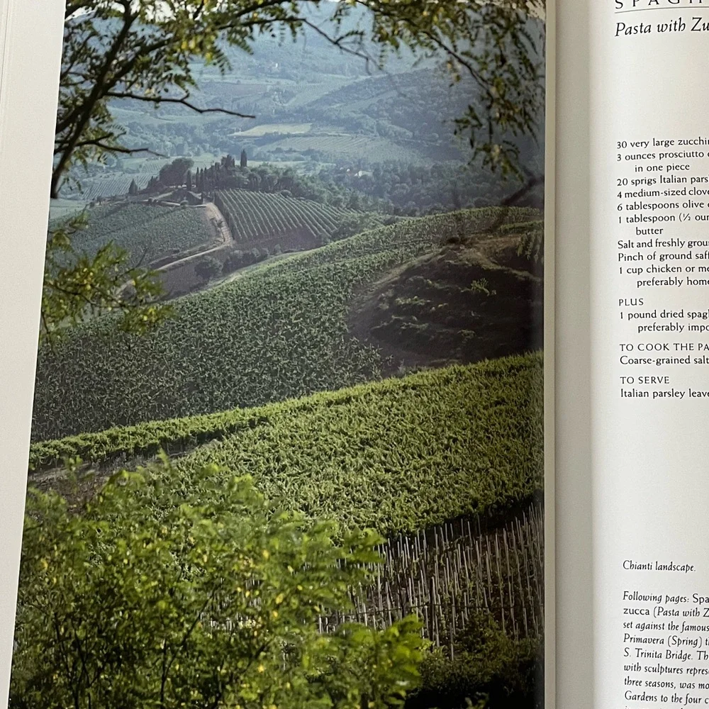 Giuliano Bugialli Foods of Tuscany Cookbook 1st Edition Vintage 1992 Italian